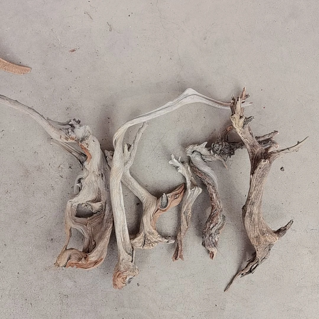 檀香紫檀（小叶紫檀）卢*满