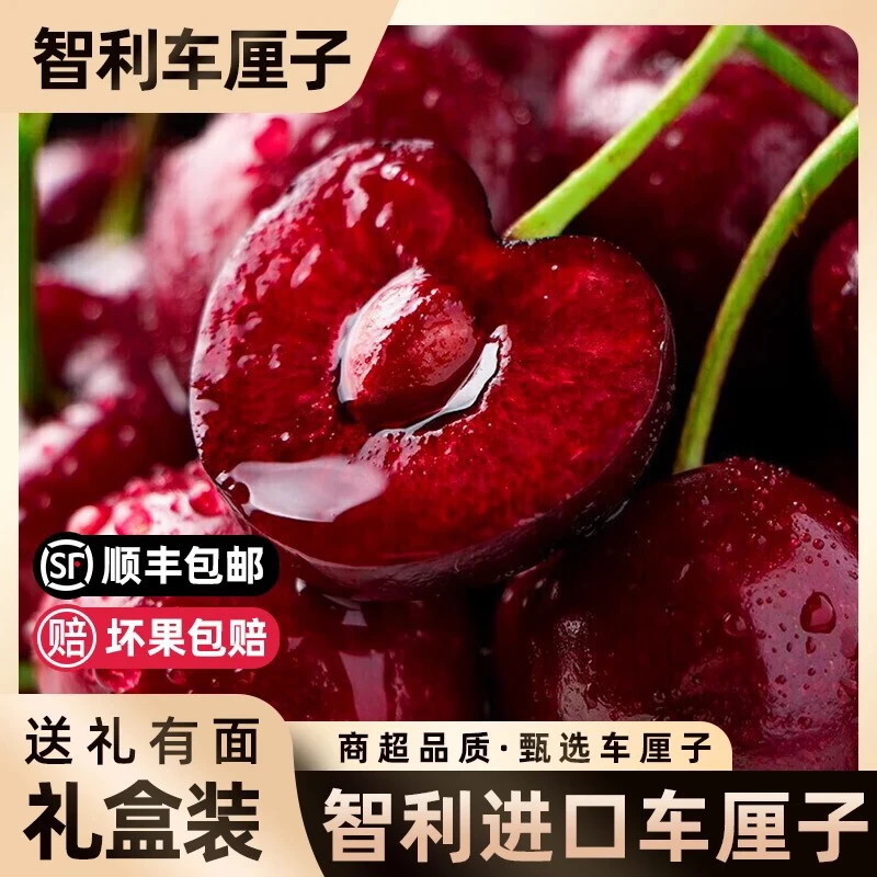 3JD大果【今天拍明天到】现货智利空运进口车厘子顺丰包邮 内附果径卡新鲜孕妇樱桃800gHJ桑提娜樱桃智利共和国
