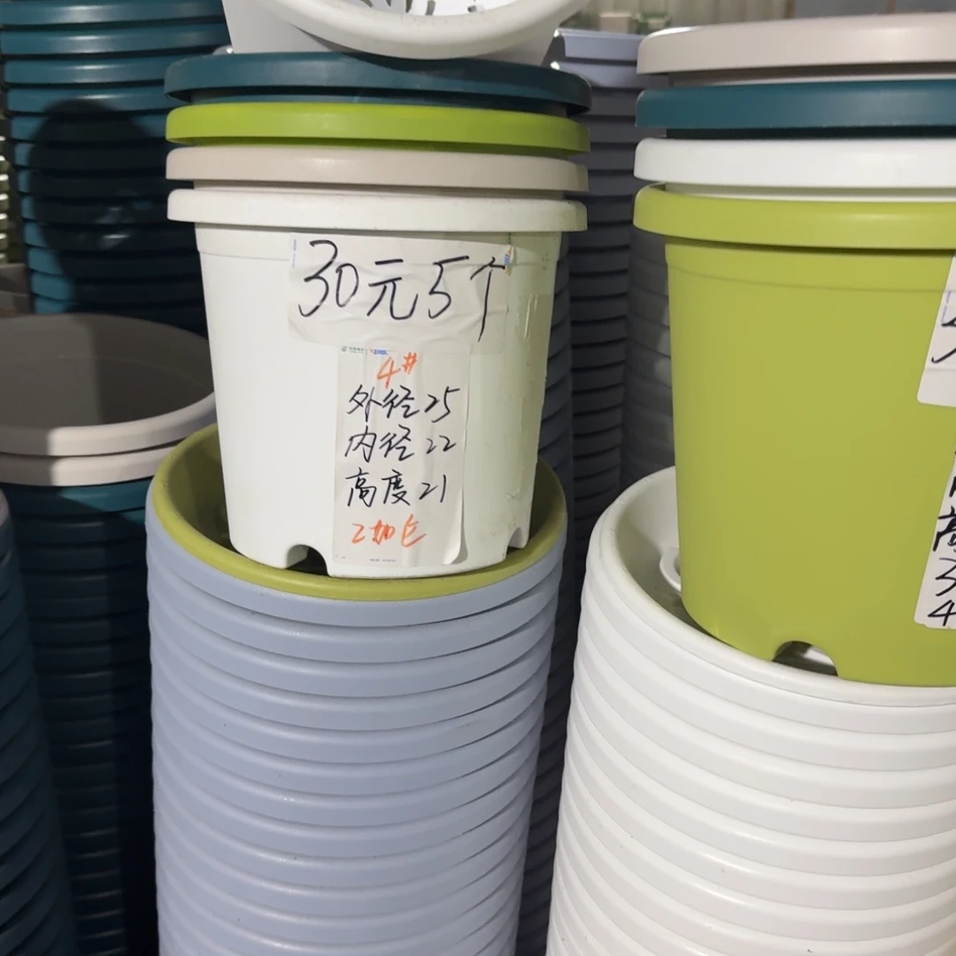 灰白色4号口径25高21无拖10个