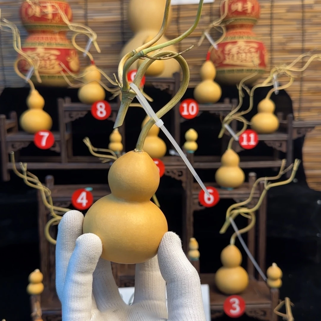 努***a啊啊啊啊啊啊啊啊