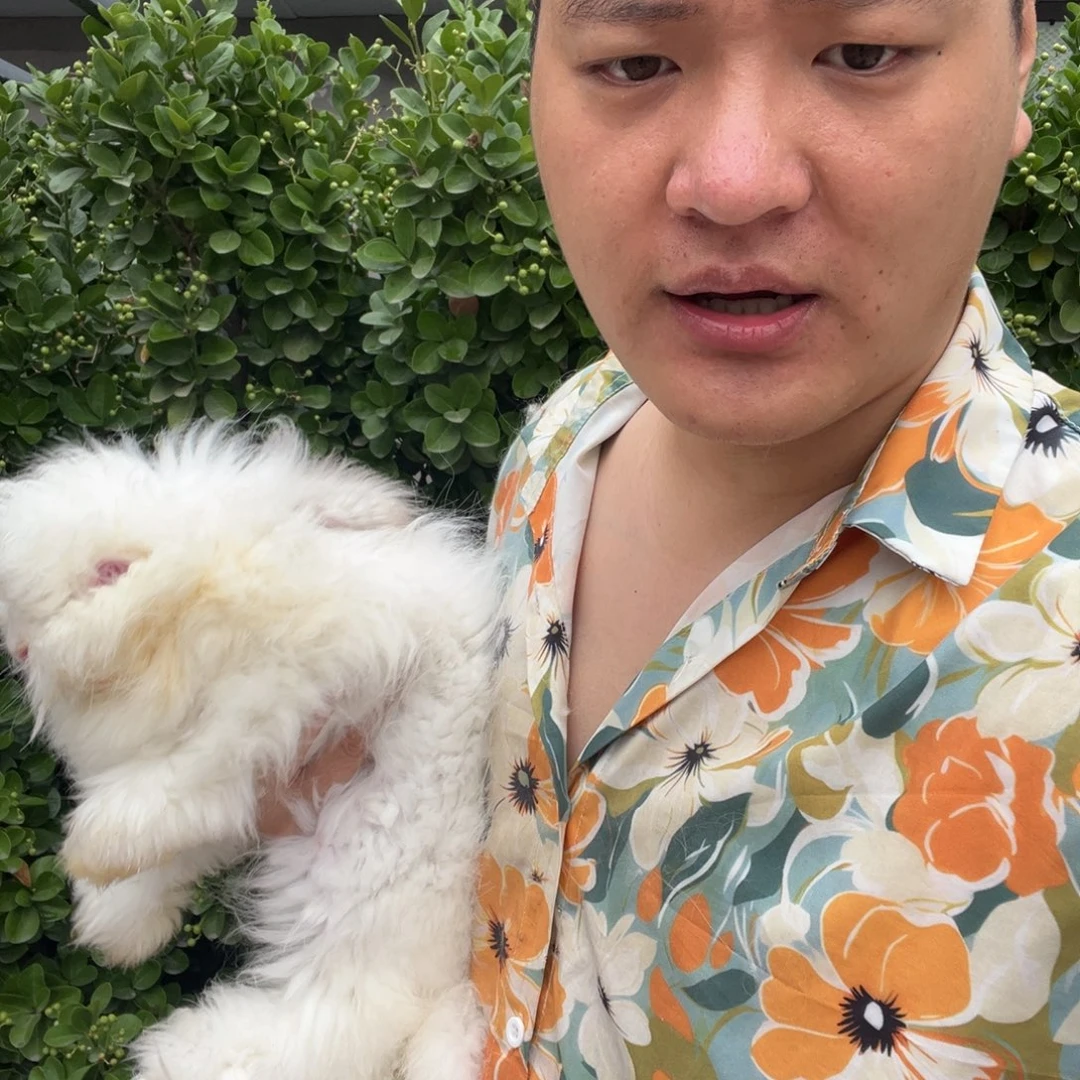 兜***兜1111111111111宠物