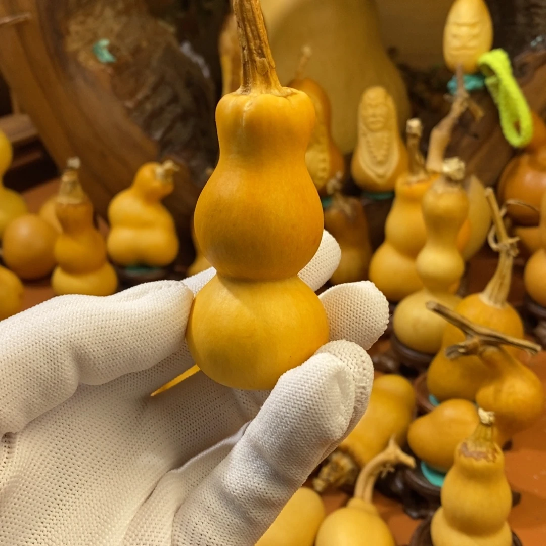 教练教练咯哦哦哦咯