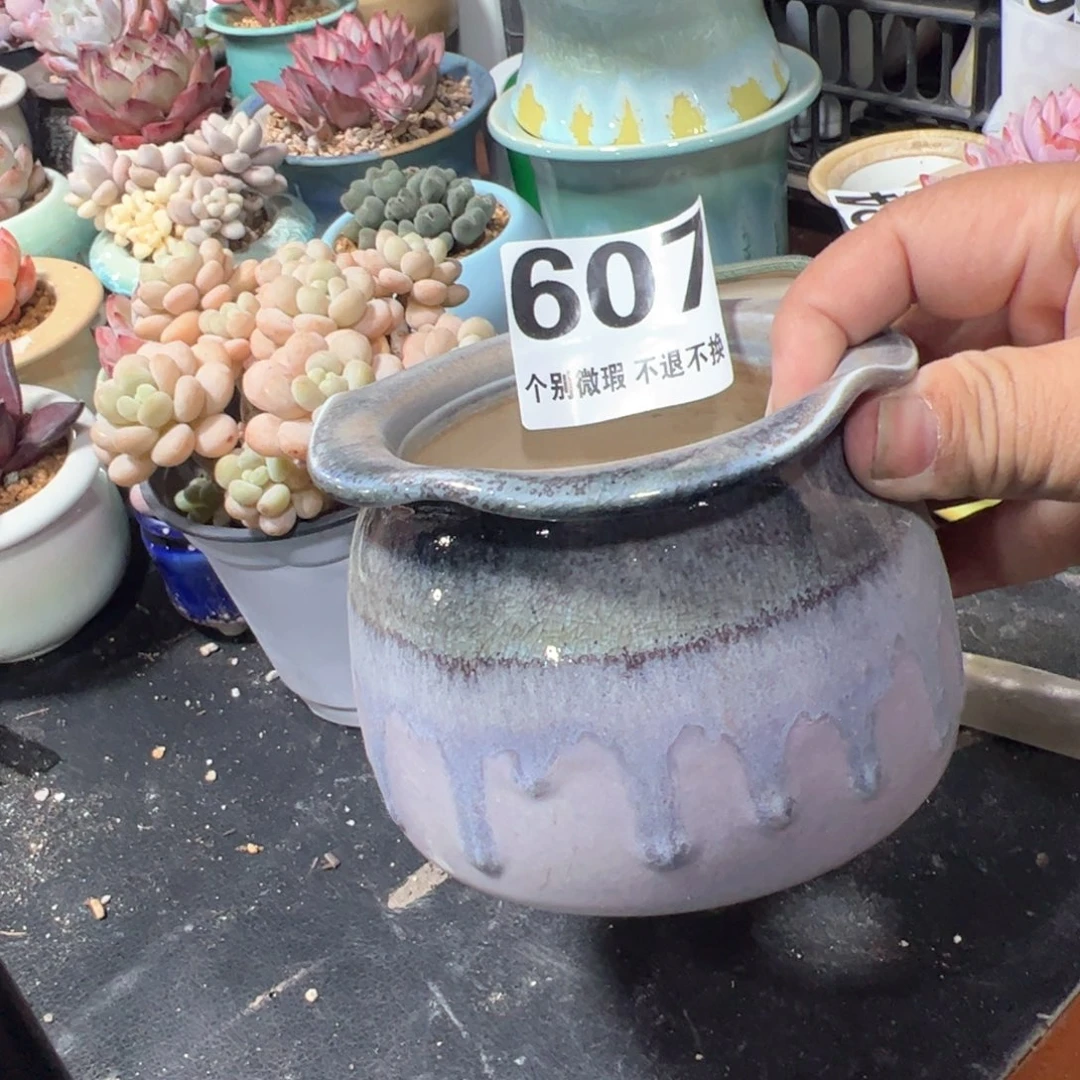 凑满50发货 内口8