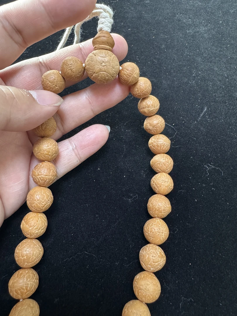 尺寸11/12小单仓尼泊尔凤眼菩提