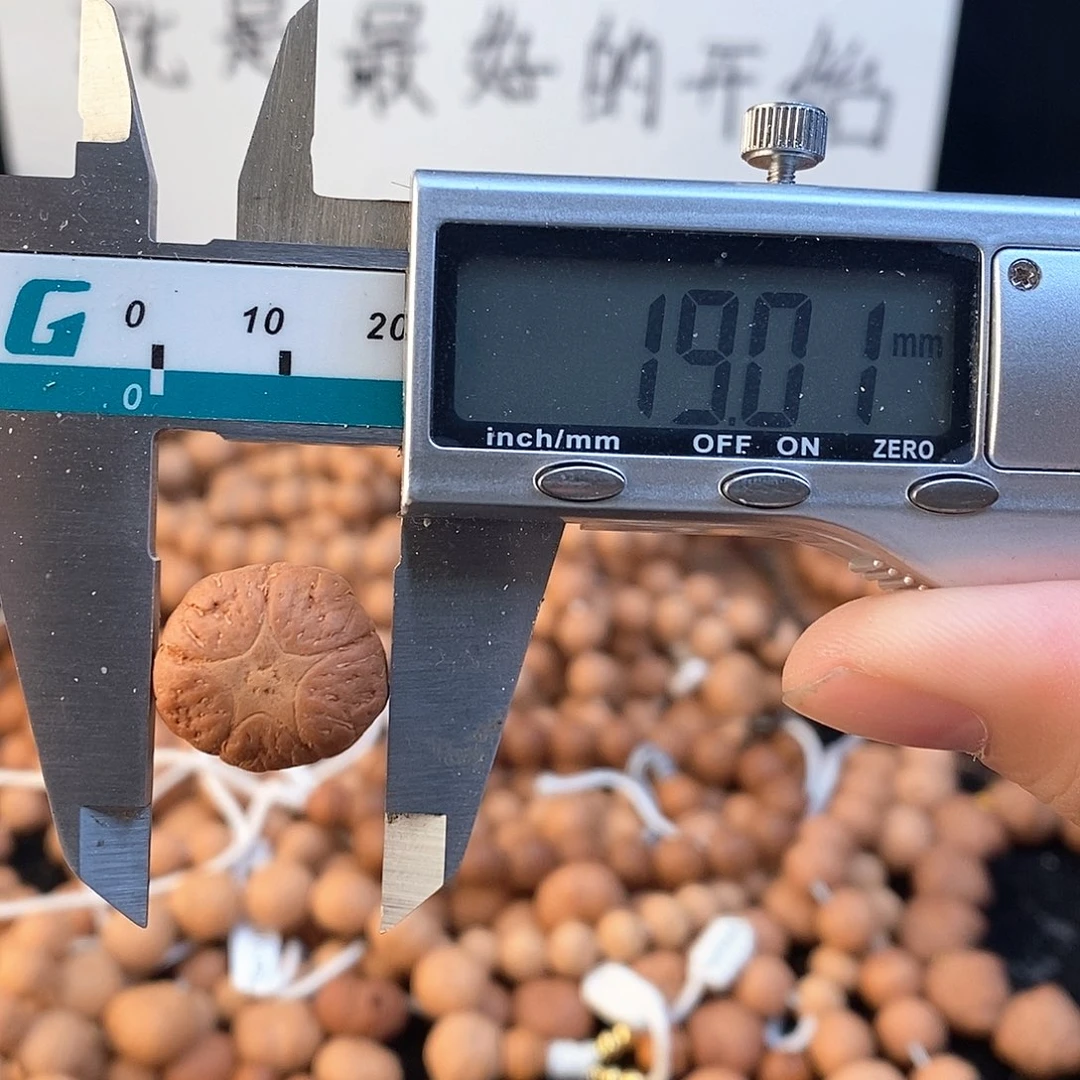 凤眼菩提吊坠3046