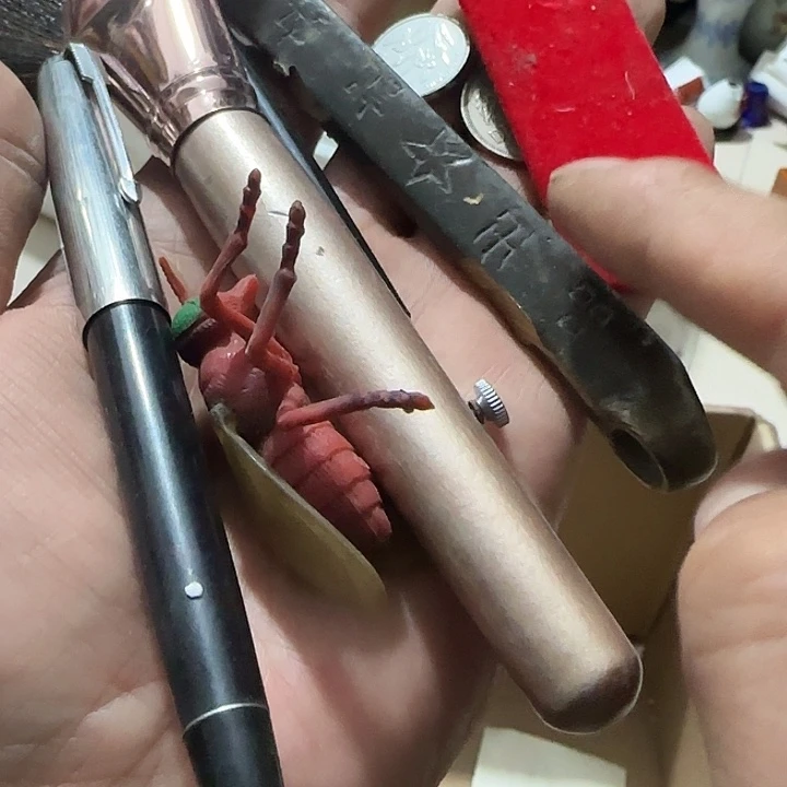 贝壳杉京*修Ghghfhghggggg