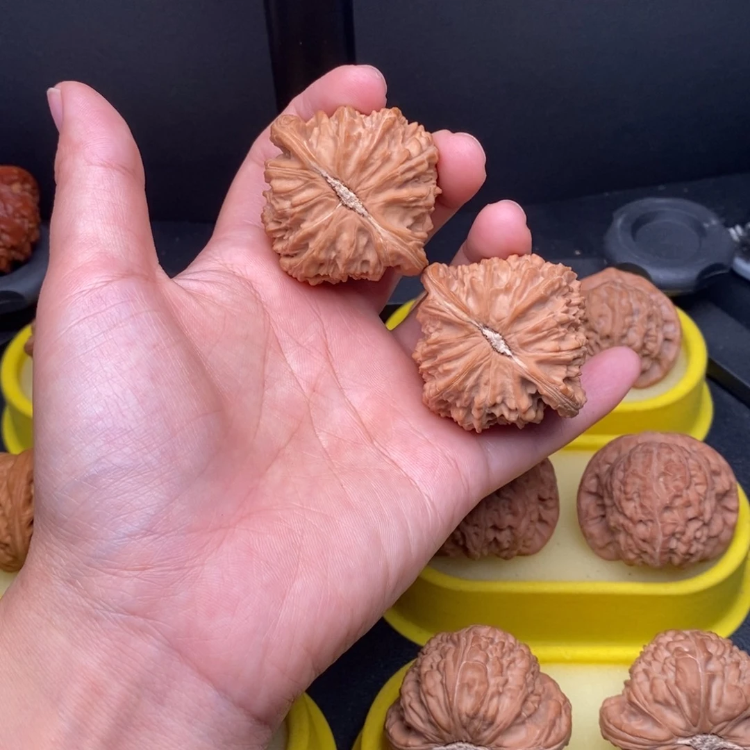 核桃把件47白狮子全品