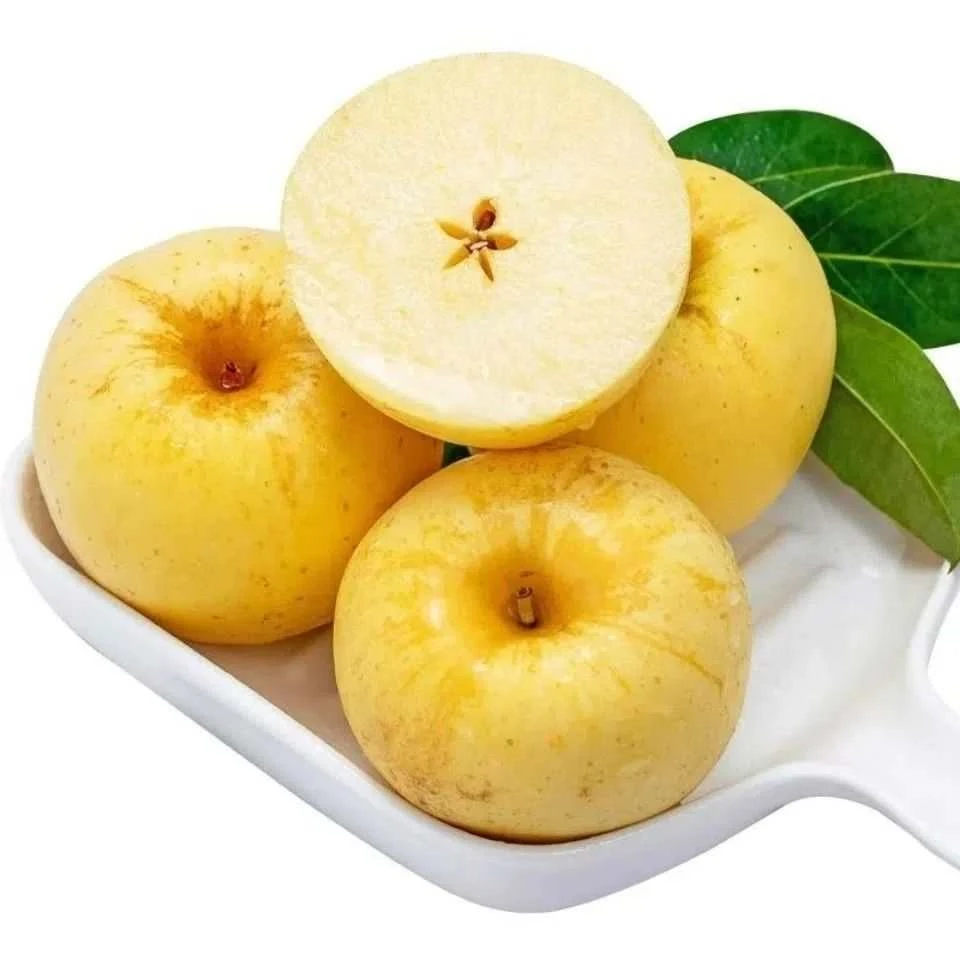 观悟优选维纳斯黄金苹果新鲜水果当季脆甜多汁奶油苹果