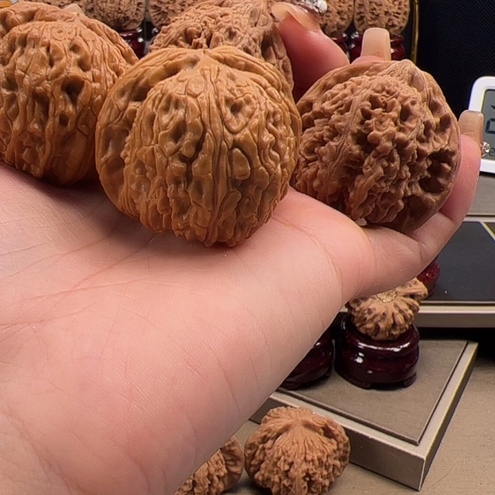 文玩核桃把件白狮子➕满天星x-030