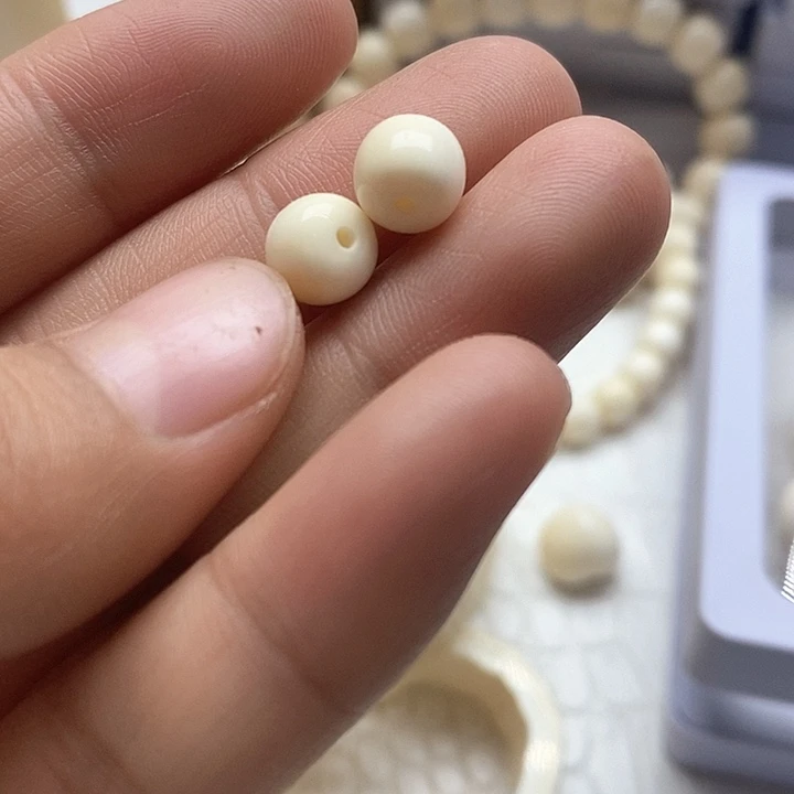 贝壳手串/手链7.6成6.5全肉老邢