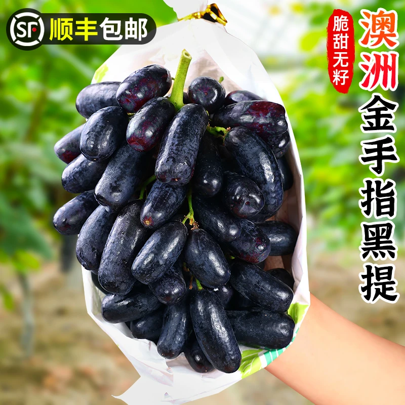【顺丰包邮】澳洲金手指黑提1-4斤黑提子蓝宝石甜葡萄新鲜脆甜多汁