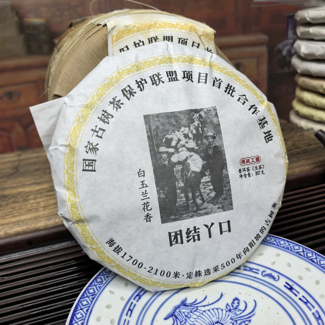 拍一发二2023年团结丫口生饼古树茶普洱茶