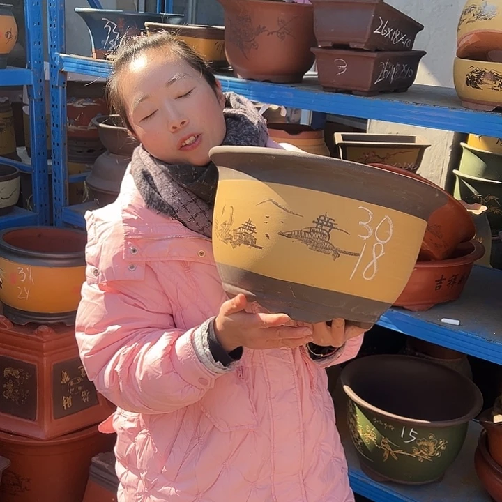 003花盆花盆花盆花盆花盆