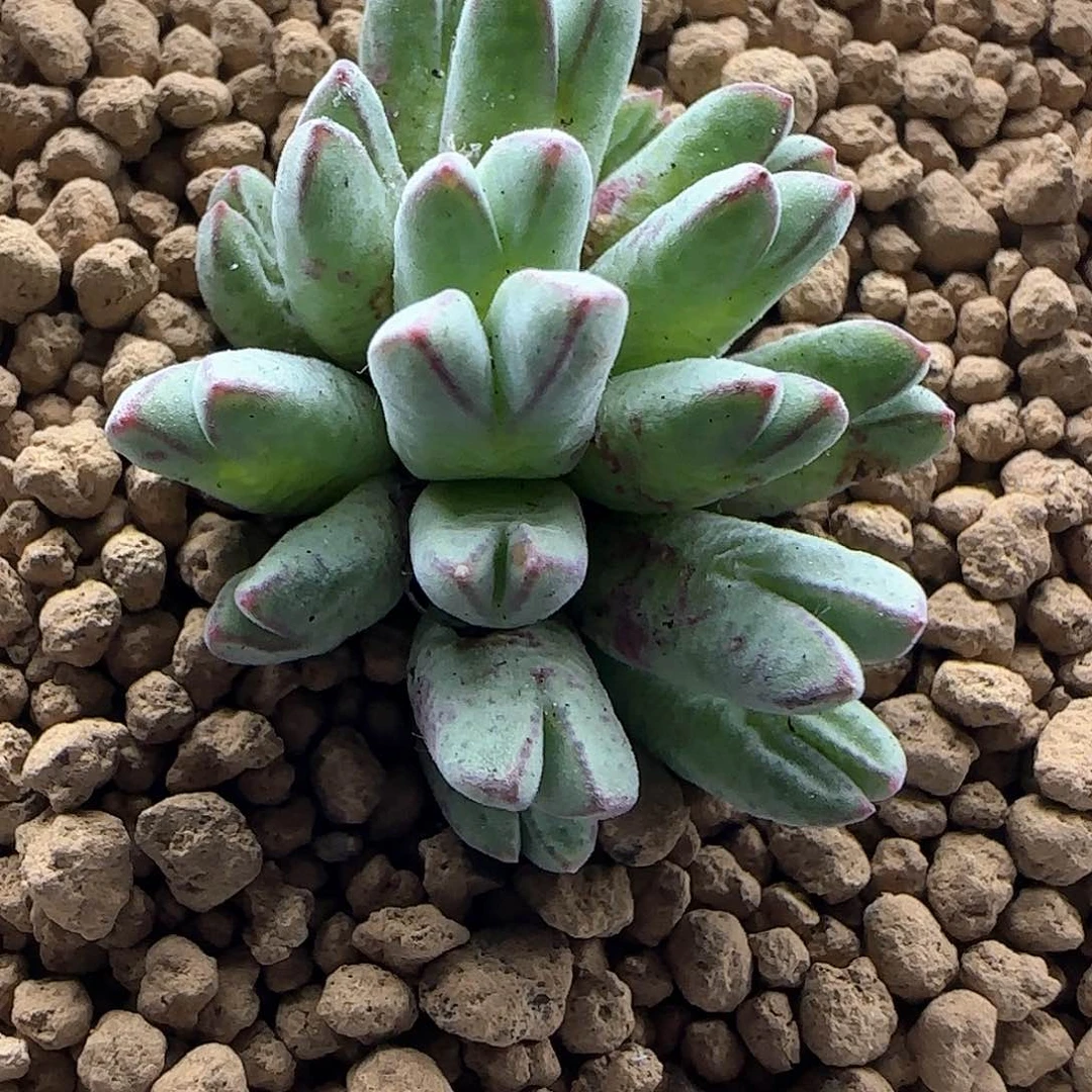 哈哈哈哈哈哈哈45229