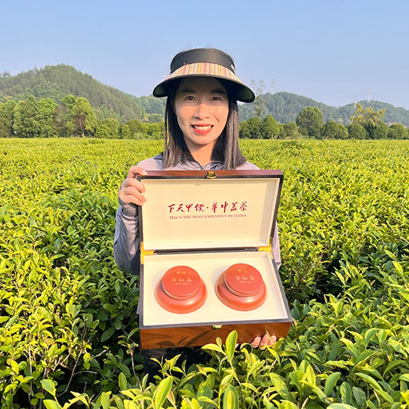 【双井绿茶村干部小胡】修水宁红茶金毫芽头新茶送礼佳品口感醇厚