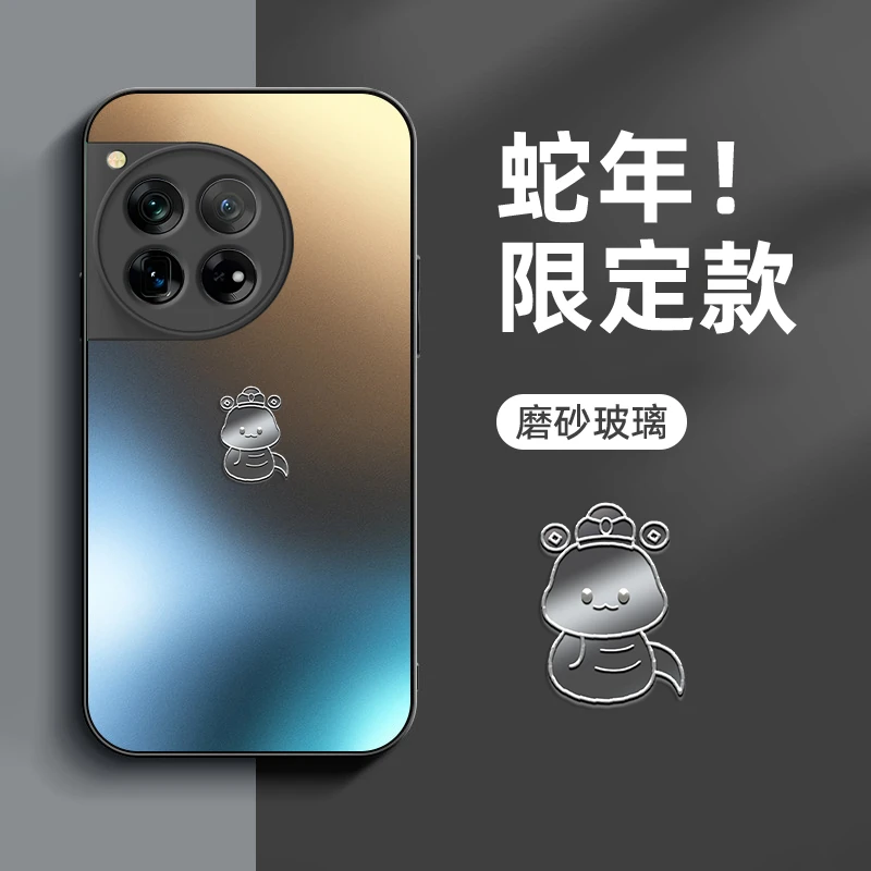 适用一加12手机壳磨砂玻璃蛇年限定C8创意个性高级感防摔保护套