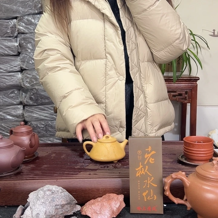 茶壶紫砂宜兴紫砂