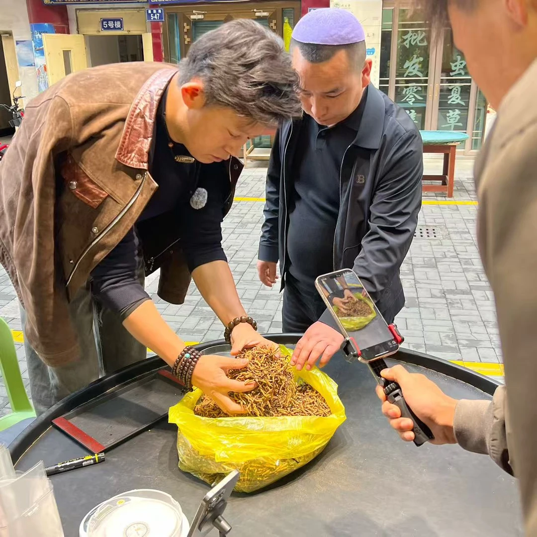 【冬虫夏草】小断草 现场现卖 自然晒干 品质滋补实拍图