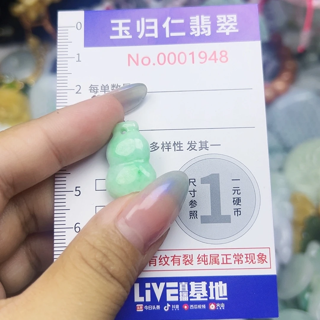 翡翠未镶嵌吊坠(不含链)111