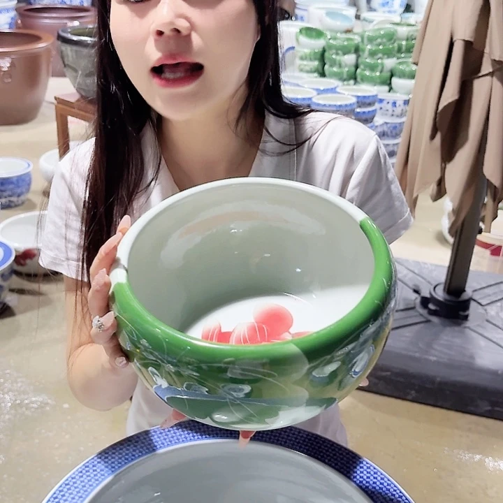 瓷片口径23厘米 高度13厘米