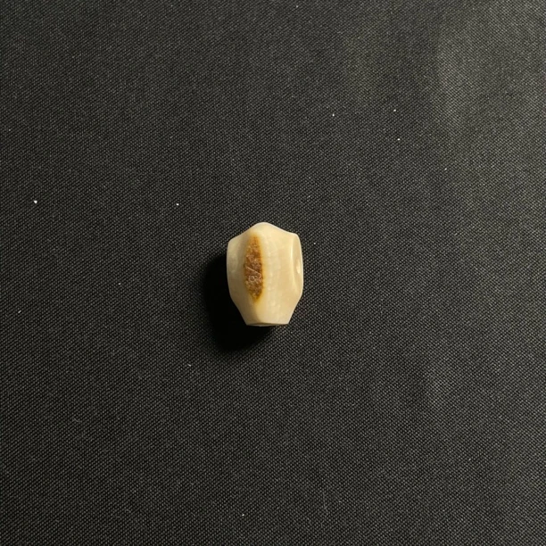 PA88虎眼鲨鱼背三通 只做天然猛犸牙