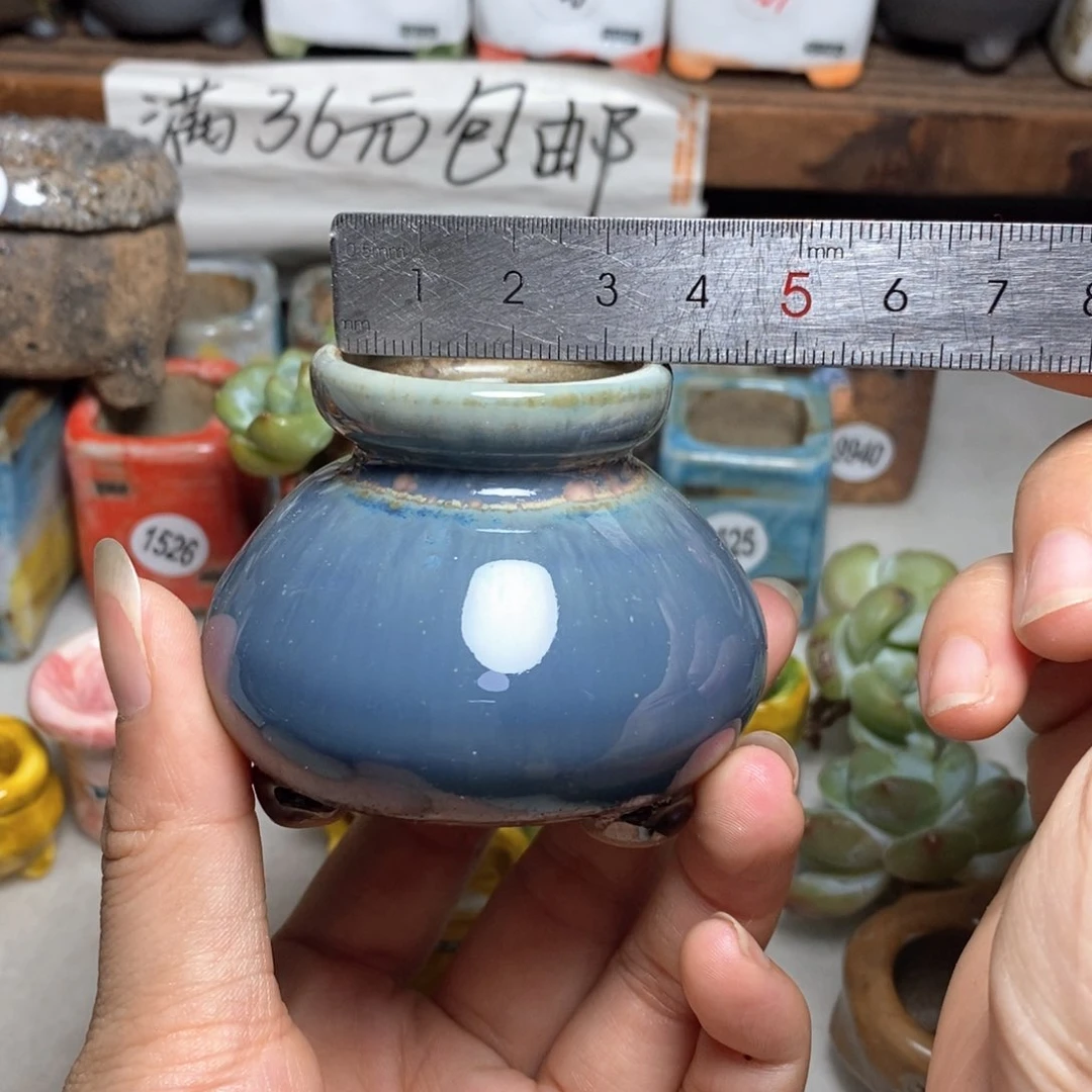 拍5送一个小礼物