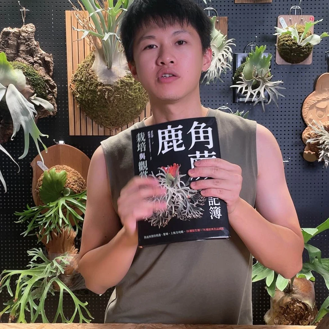 【闪购商品】鹿角蕨日记簿