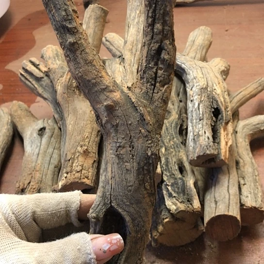 大果紫檀（缅甸花梨）曾***诺