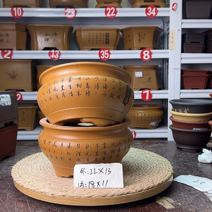 花盆紫砂蛇年大吉