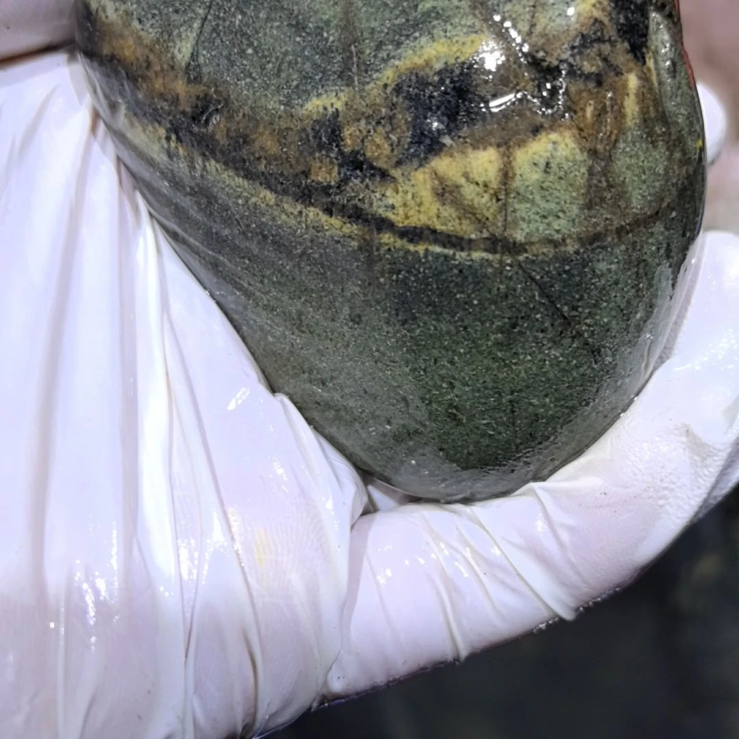 亭***萓藏玉药王石原石一个