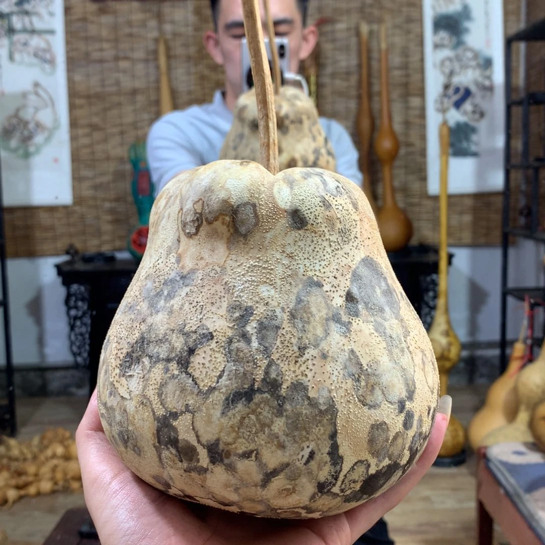 一***由葫芦葫芦葫芦葫芦