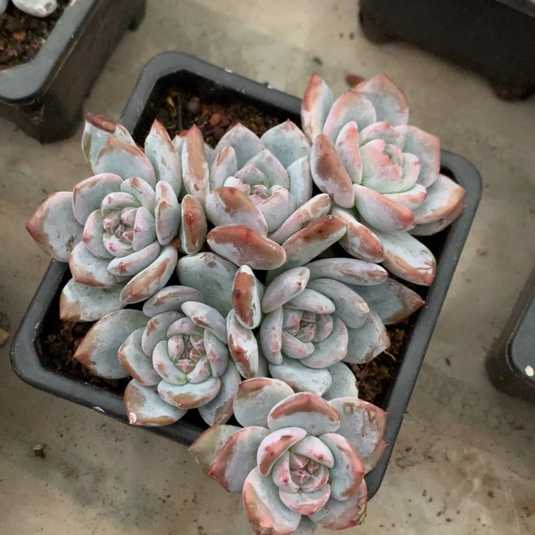 哈哈哈哈哈哈哈哈哈35