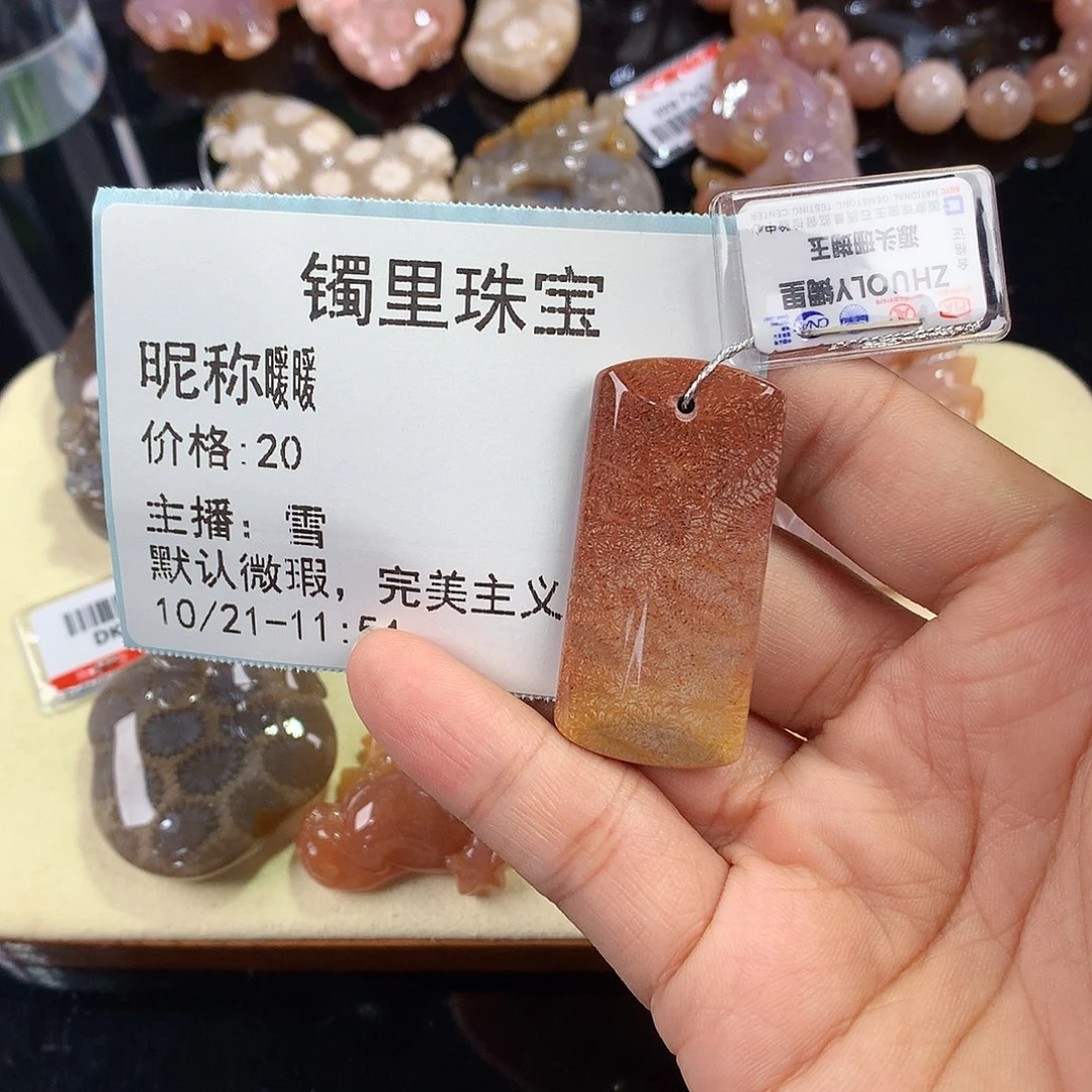 暖***暖硅化珊瑚（珊瑚玉）未镶嵌吊坠(赠链)