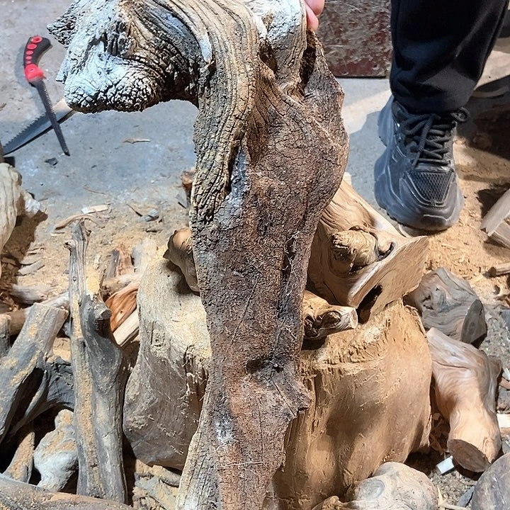 柏木球*士太行山区柏木木木