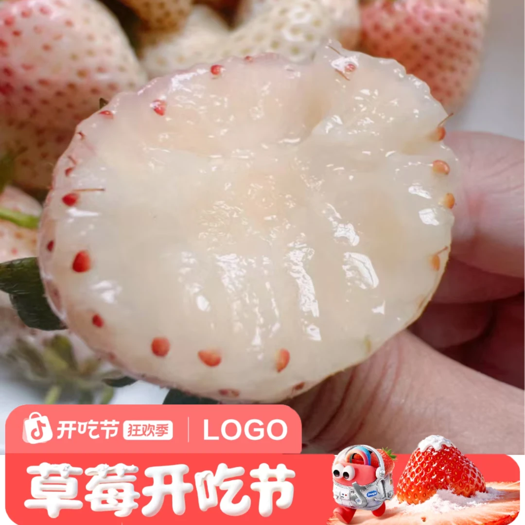【草莓开吃】高原露天种植新鲜现采现发高原公主白草莓