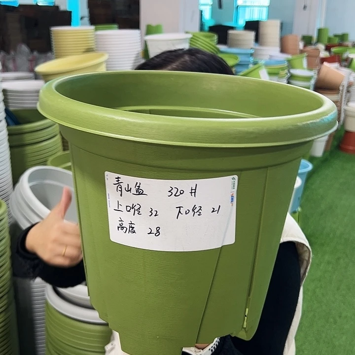 特价青山口32高28果绿无托5只