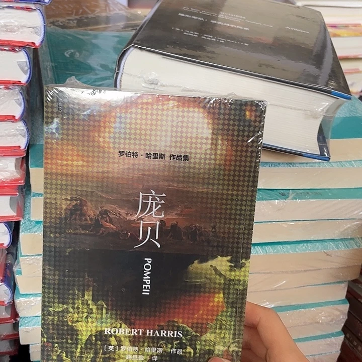 庞贝微瑕微瑕微瑕