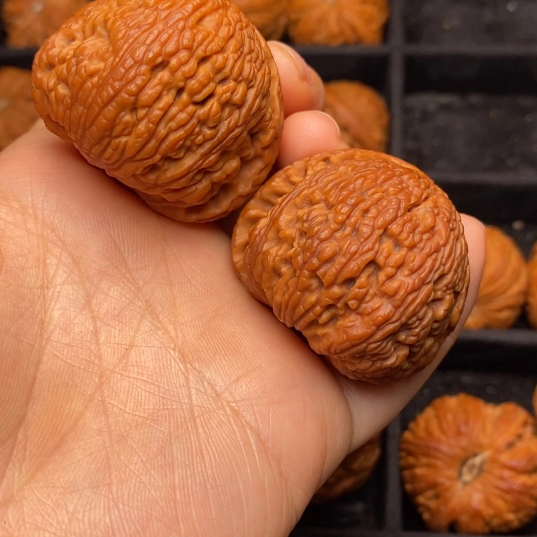 文玩核桃把件秦岭野生核桃