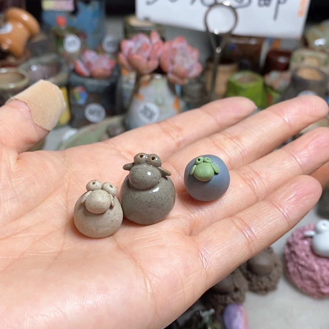 朋*处理的，不退不换的