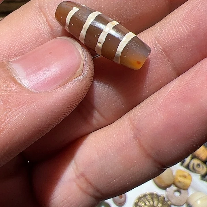 香榧木Y在这里的时候