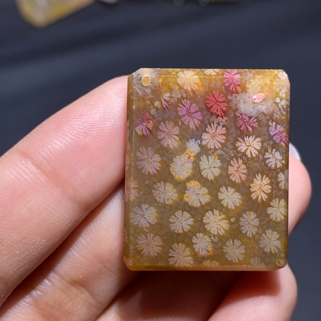 【闪购商品】未镶嵌珊瑚玉硅化玉