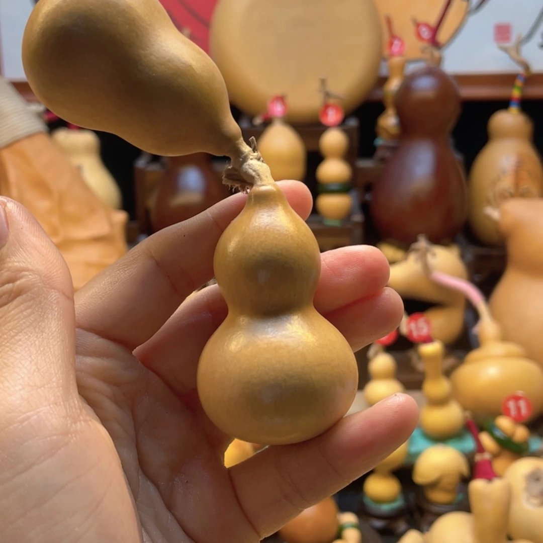 二**听大自然的秘密第十一节的