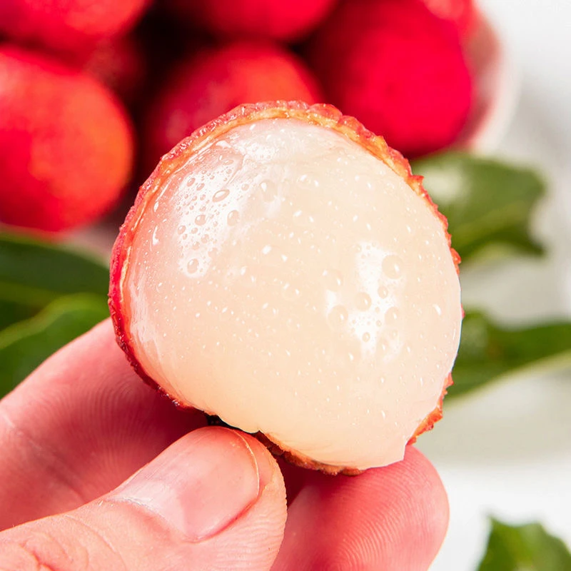 【冷链发货】茂名高州白糖罂荔枝新鲜现摘应季水果