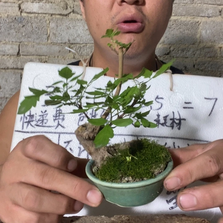 退款拉黑一物一拍9