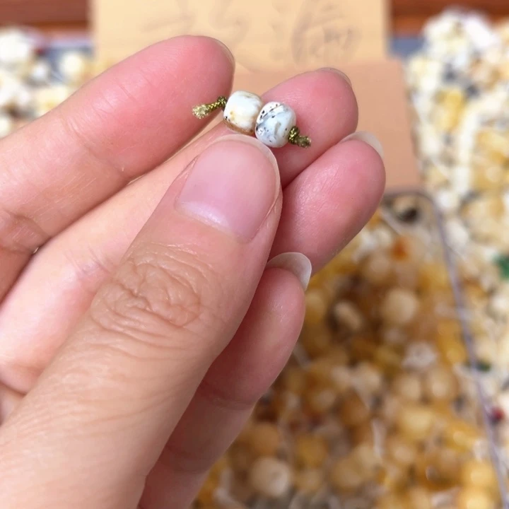 蜜蜡未镶嵌裸石5.9mm一对