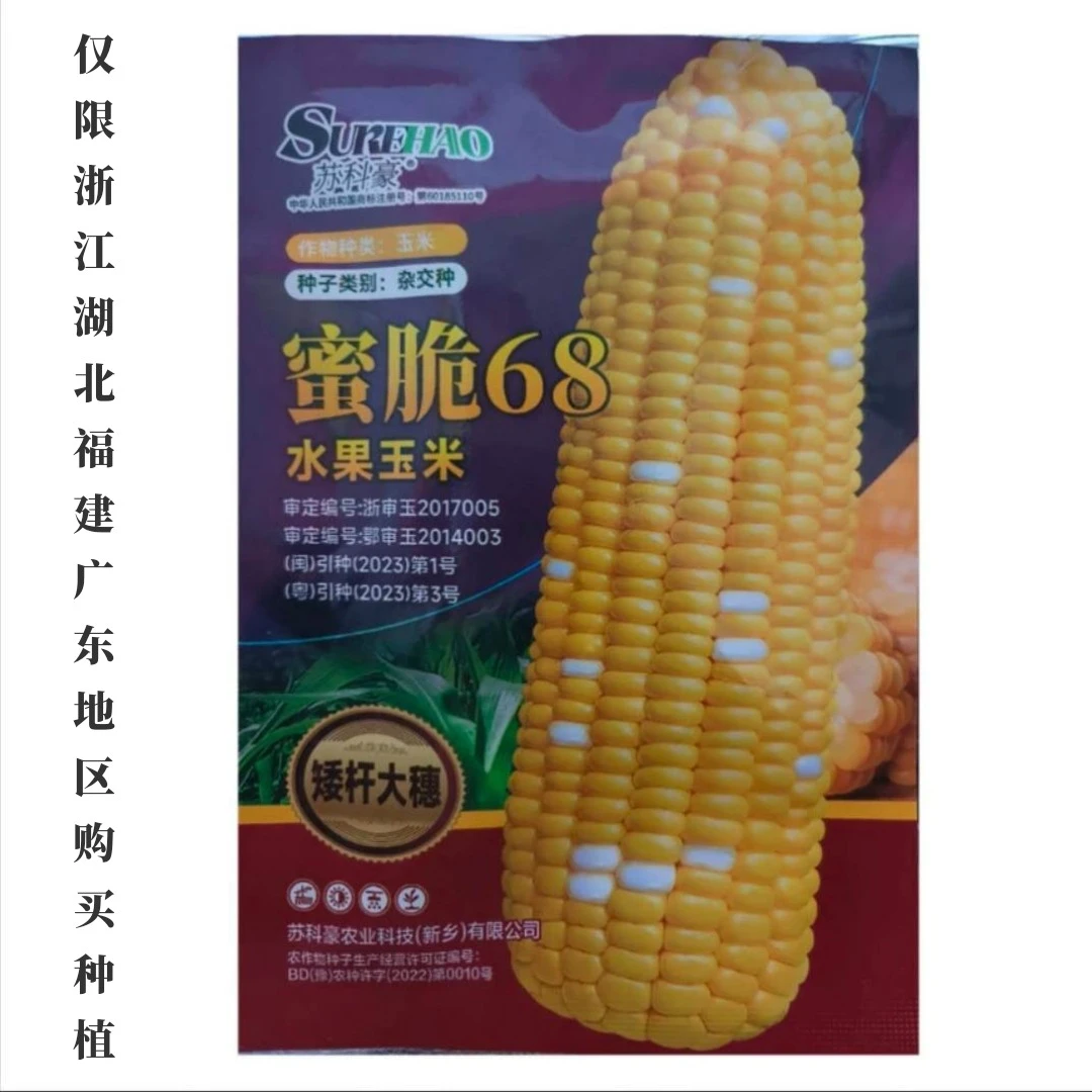 原厂【正品授权】蜜脆双色水果玉米种子田园基地均可种植