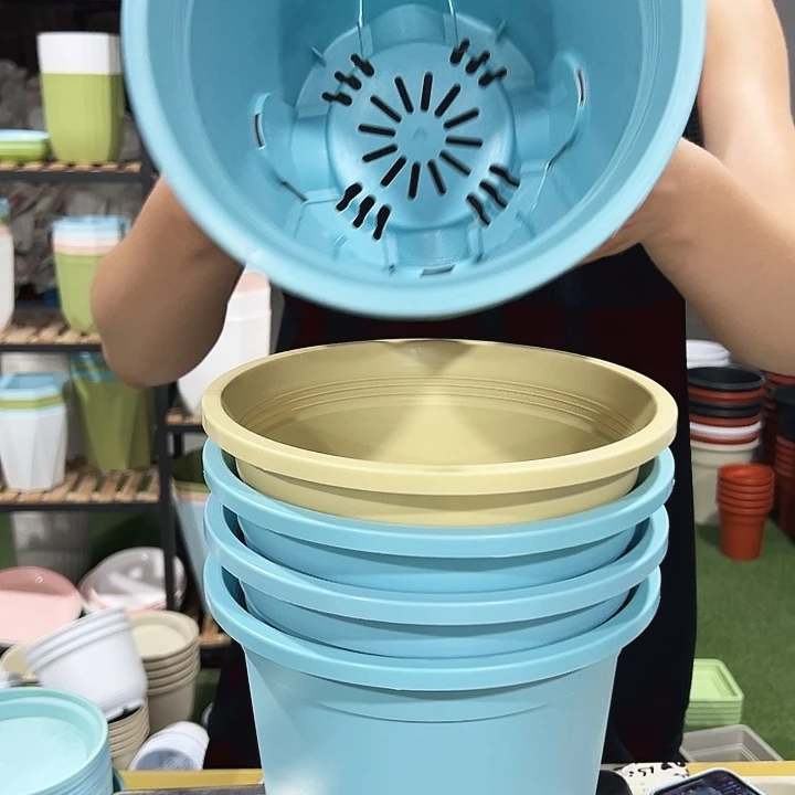 圆形控根口21高21混色带托5只