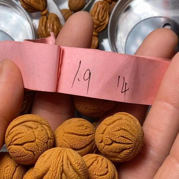 吊坠桃核陕西秦岭山桃核