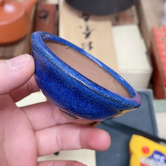 紫砂哈哈哈哈哈哈哈哈哈哈