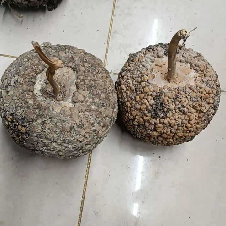 玩****）满天星疙瘩葫芦满天星疙瘩葫芦！